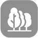 Forêt