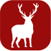 Cerf